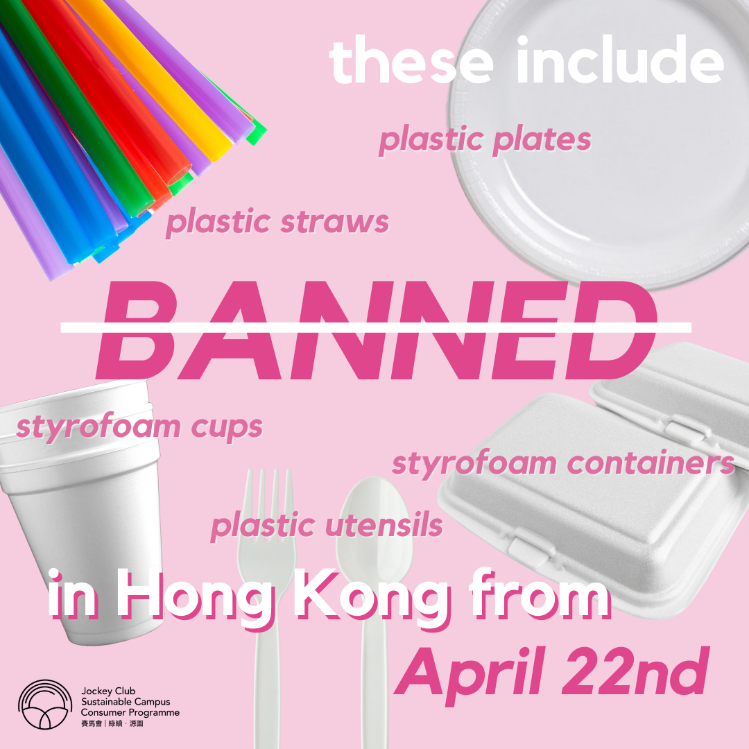 PvPQ 1.2 Banned Plastics in Restaurants and Takeout