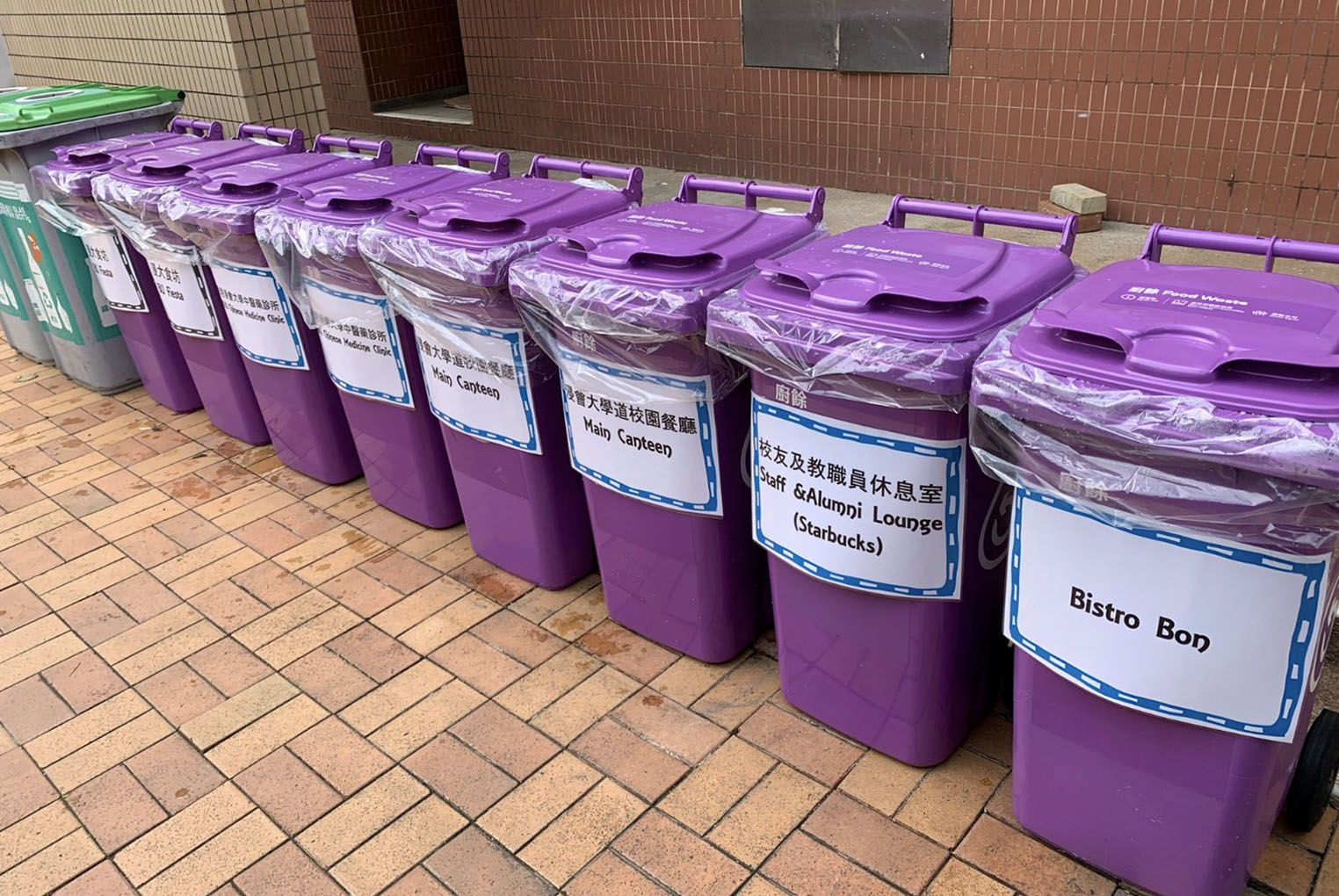 Food Waste Collection Bins